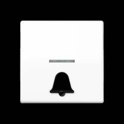 Jung Wippe 1fach mit Lichtleiter, mit abtastbarem Symbol...