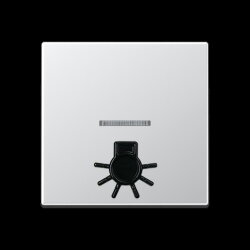 Jung Wippe 1fach mit Lichtleiter, mit abtastbarem Symbol...