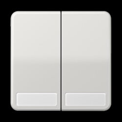 Jung Wippe 2fach, mit Schriftfeld, Duroplast, Serie CD,...