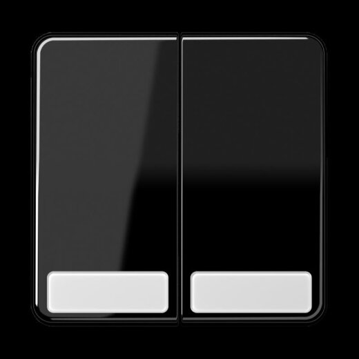 Jung Wippe 2fach, mit Schriftfeld, Duroplast, Serie CD, schwarz CD595NASW