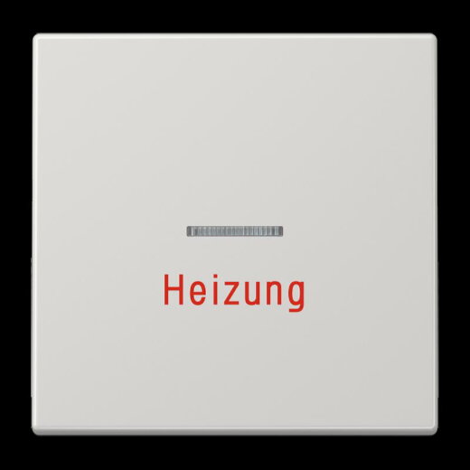 Jung Wippe 1fach mit Lichtleiter, Heizung, Duroplast, Serie LS, lichtgrau LS990HLG