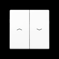 Jung Wippe 2fach, mit Pfeilsymbolen, Thermoplast, Serie...