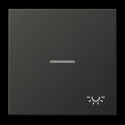 Jung Wippe 1fach mit Lichtleiter, Symbol Licht, Aluminium...