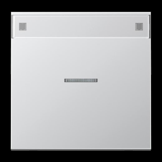 Jung Wippe 1fach mit Lichtleiter, mit Schriftfeld, Serie LS, Aluminium AL2990NAKO5