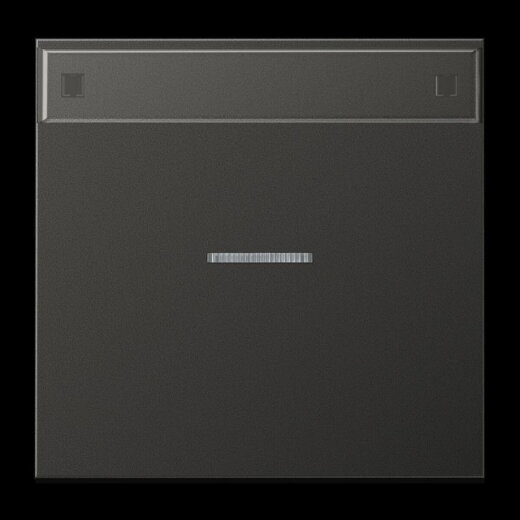 Jung Wippe 1fach mit Lichtleiter, mit Schriftfeld, Aluminium lackiert, Serie LS, anthrazit (lackiertes Aluminium) AL2990NAKO5AN