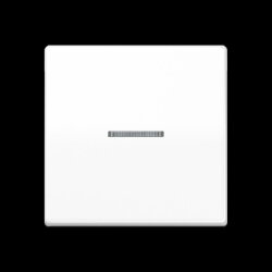 Jung Wippe 1fach mit Lichtleiter, Thermoplast, Serie AS,...