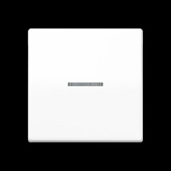 Jung Wippe mit Schraubbefestigung 1fach mit Lichtleiter,...