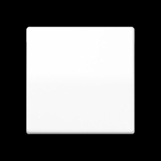 Jung Wippe mit Schraubbefestigung 1fach, Thermoplast, Serie AS, alpinweiß AS591BFSWW