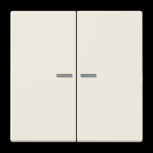 Jung Wippe 2fach mit Lichtleiter, Duroplast, Serie LS, weiß LS995KO5