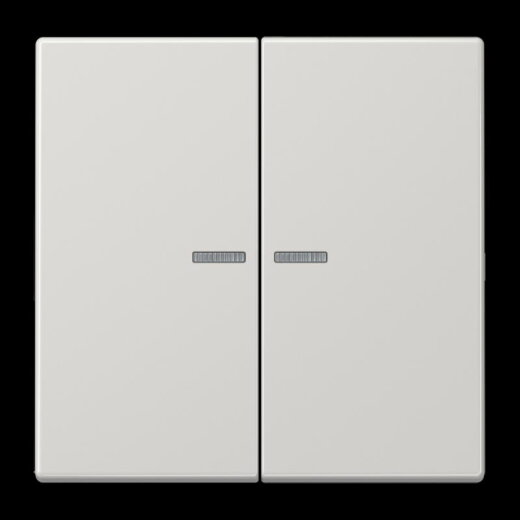Jung Wippe 2fach mit Lichtleiter, Duroplast, Serie LS, lichtgrau LS995KO5LG