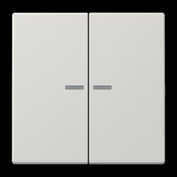 Jung Wippe 2fach mit Lichtleiter, Duroplast, Serie LS,...