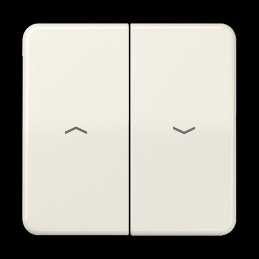 Jung Wippe 2fach, mit Pfeilsymbolen, Duroplast, Serie CD, weiß CD595P
