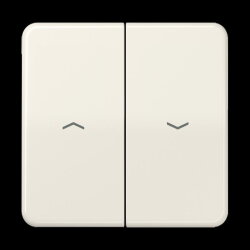 Jung Wippe 2fach, mit Pfeilsymbolen, Duroplast, Serie CD,...