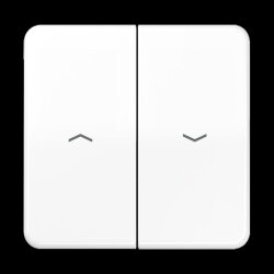 Jung Wippe 2fach, mit Pfeilsymbolen, Duroplast, Serie CD,...