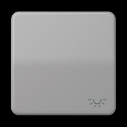 Jung Wippe 1fach, Symbol Licht, Duroplast, Serie CD, grau...