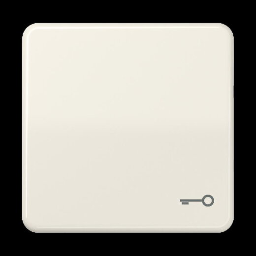 Jung Wippe, Symbol Tür, Duroplast, Serie CD, weiß CD590T