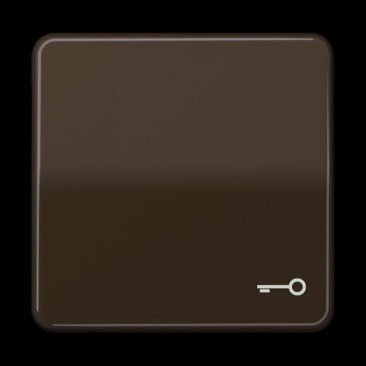 Jung Wippe, Symbol Tür, Duroplast, Serie CD, braun CD590TBR