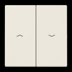 Jung Wippe 2fach, mit Pfeilsymbolen, Duroplast, Serie LS,...