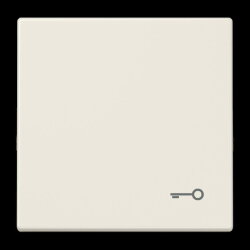 Jung Wippe, Symbol Tür, Duroplast, Serie LS,...