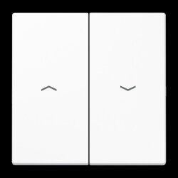 Jung Wippe 2fach, mit Pfeilsymbolen, Duroplast, Serie LS,...