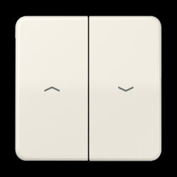 Jung Wippe 2fach, mit Pfeilsymbolen, Thermoplast, Serie...