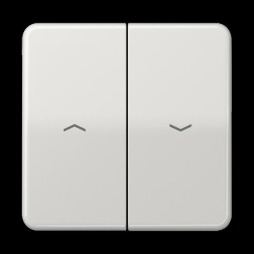 Jung Wippe 2fach, mit Pfeilsymbolen, Duroplast, Serie CD, lichtgrau CD595PLG