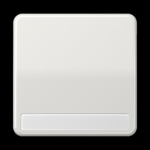 Jung Wippe 1fach, mit Schriftfeld, Duroplast, Serie CD, lichtgrau CD590NALG