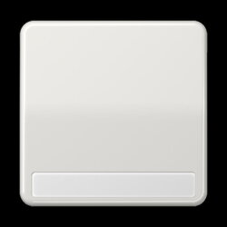 Jung Wippe 1fach, mit Schriftfeld, Duroplast, Serie CD,...