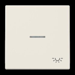 Jung Wippe 1fach mit Lichtleiter, Symbol Licht,...