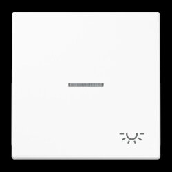 Jung Wippe 1fach mit Lichtleiter, Symbol Licht,...