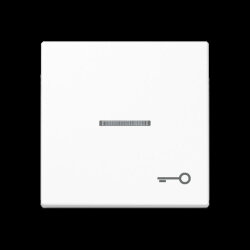 Jung Wippe mit Lichtleiter, Symbol Tür, Duroplast,...