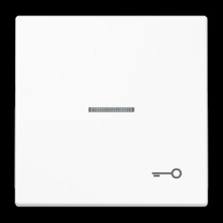 Jung Wippe mit Lichtleiter, Symbol Tür, Duroplast,...