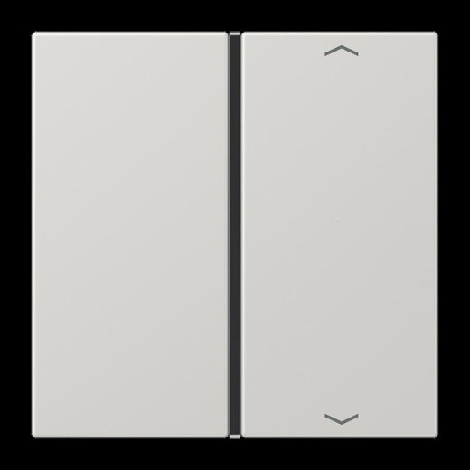 Jung Taste 1fach, mit Pfeilsymbolen, F40, Serie LS, lichtgrau LS401TSAPLG