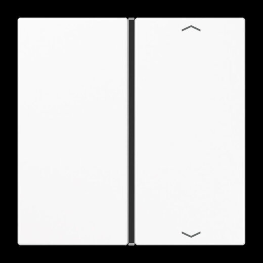 Jung Taste 1fach, mit Pfeilsymbolen, F40, Serie LS, alpinweiß LS401TSAPWW