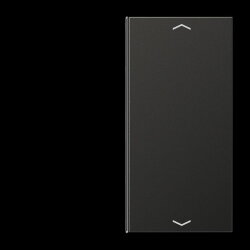 Jung Taste 2fach, mit Pfeilsymbolen, F40, Serie LS,...