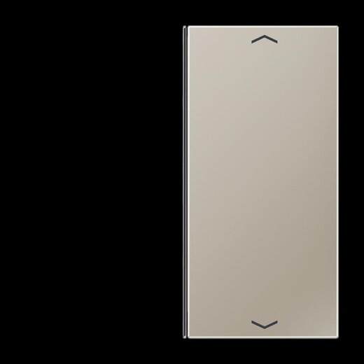 Jung Taste 2fach, mit Pfeilsymbolen, F40, Serie LS, Edelstahl ES2402TSAP