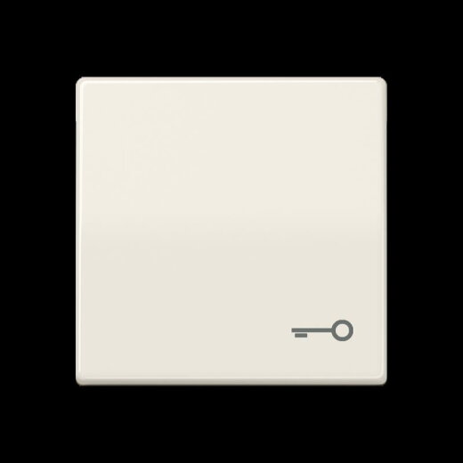 Jung Wippe, Symbol Tür, Duroplast, Serie AS, weiß AS591T