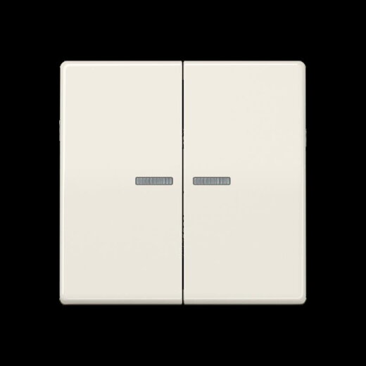 Jung Wippe 2fach mit Lichtleiter, Duroplast, Serie AS, weiß AS591-5KO5