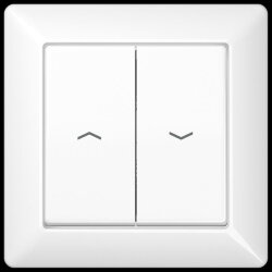 Jung Wippe 2fach, mit Pfeilsymbolen, mit Rahmen,...