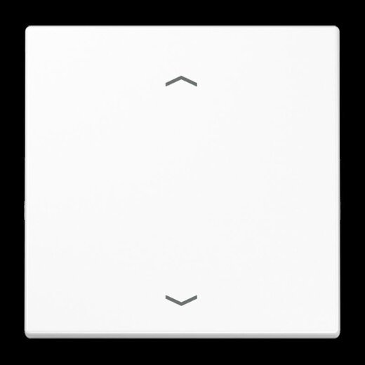 Jung Wippe 1fach, mit Pfeilsymbolen, Duroplast, Serie LS, alpinweiß LS990PWW