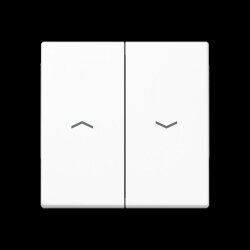 Jung Wippe 2fach, mit Pfeilsymbolen, Duroplast, Serie A,...