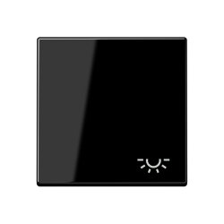 Jung Wippe 1fach, Symbol Licht, Duroplast, Serie A,...