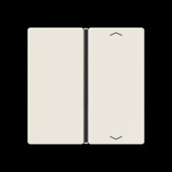 Jung Taste 1fach, mit Pfeilsymbolen, F40, Serie AS,...