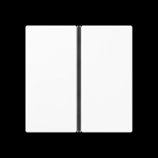 Jung Tastensatz 2fach, F40, Serie AS/A, alpinweiß A402TSAWW