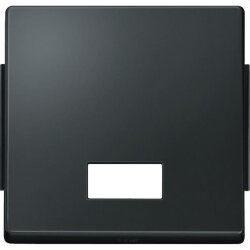 Merten Wippe 343814 anthrazit AQUADESIGN