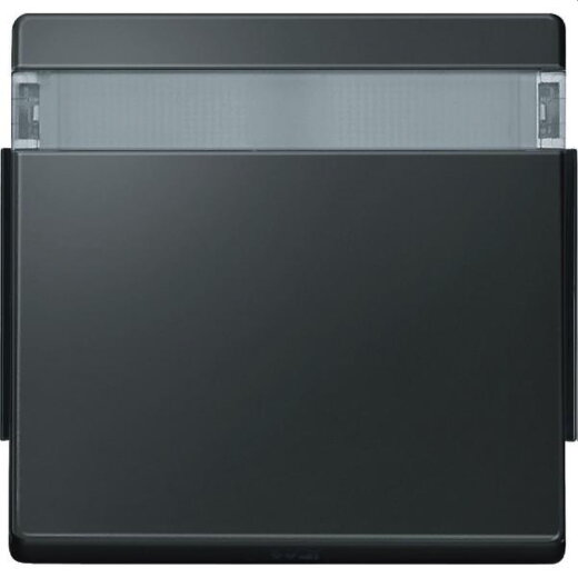 Merten Wippe 343914 anthrazit AQUADESIGN