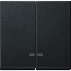 Merten Serienwippe MEG3420-0414 anthrazit System M