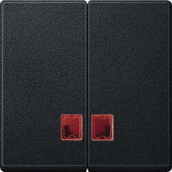 Merten Serienwippe MEG3456-0414 anthrazit System M