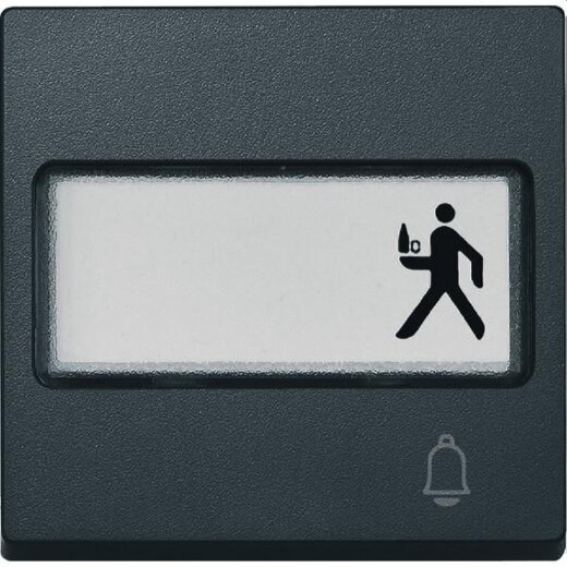 Merten Wippe MEG3365-0414 anthrazit System M