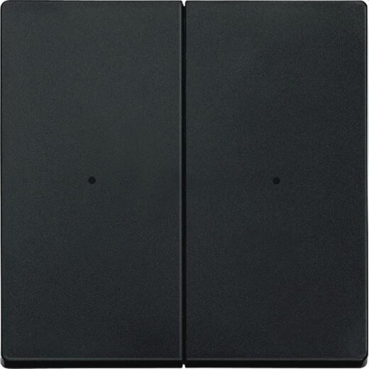 Merten Serienwippe MEG5220-0414 2fach anthrazit